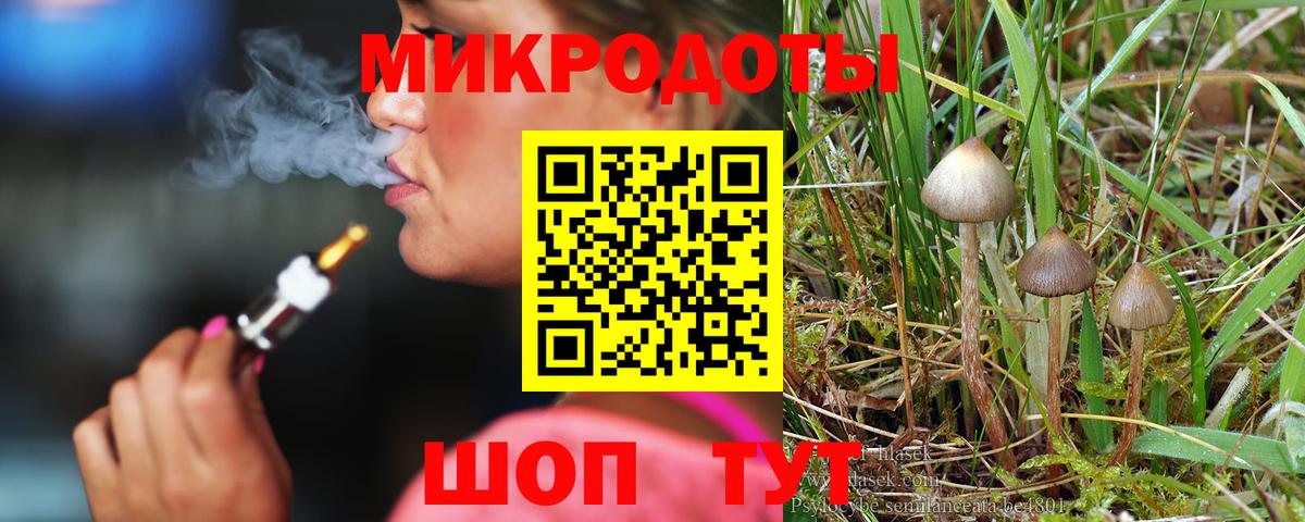 Псилоцибиновые грибы мицелий Звенигород