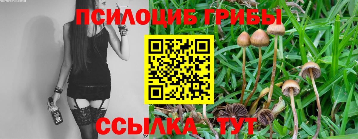 Меф МЯУ МЯУ кристаллы  LSD-25  Амфетамин кристаллы  Звенигород  Марихуана  ЭКСТАЗИ  КОКАИН  ГАШИШ  Вход с VPN 