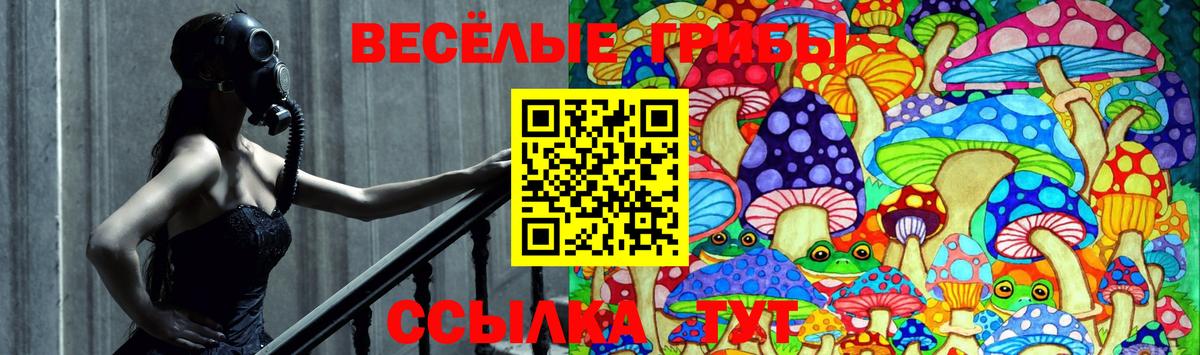 Звенигород  Псилоцибиновые грибы Magic Shrooms  как найти закладки  Вход с VPN 